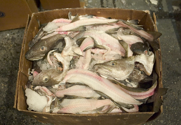 Fulton Fish Market