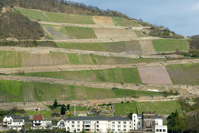 Along the Rhine Valley