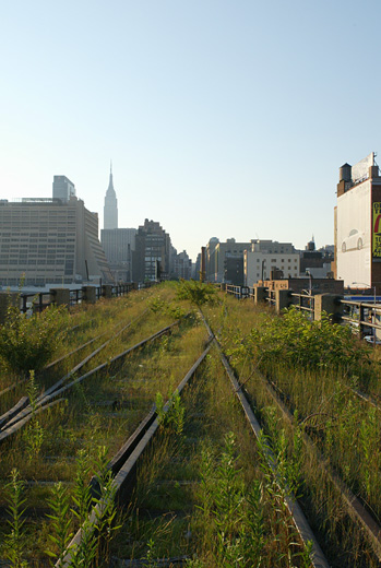 On Top of the High Line
