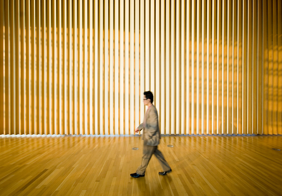 The National Art Center, Tokyo (2007) - Kisho Kurokawa